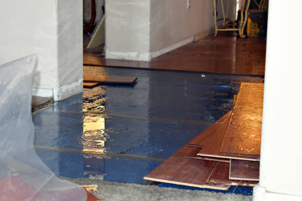 Professional Basement Flood Cleanup technician working in Chesterfield, NH